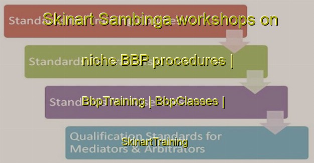 Skinart Sambinga workshops on niche BBP procedures | BbpTraining | BbpClasses | SkinartTraining-the Democratic Republic of the Congo
